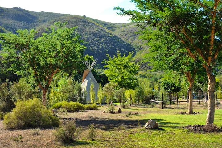 Cape Winelands Accommodation at Lancewood TiPi Lodge | Viya