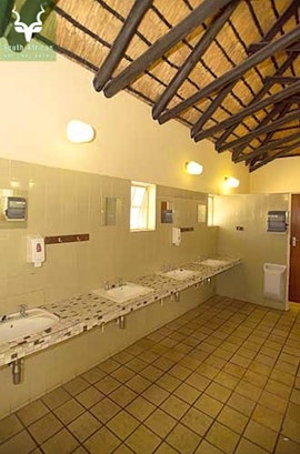 Kruger National Park South Accommodation at  | Viya