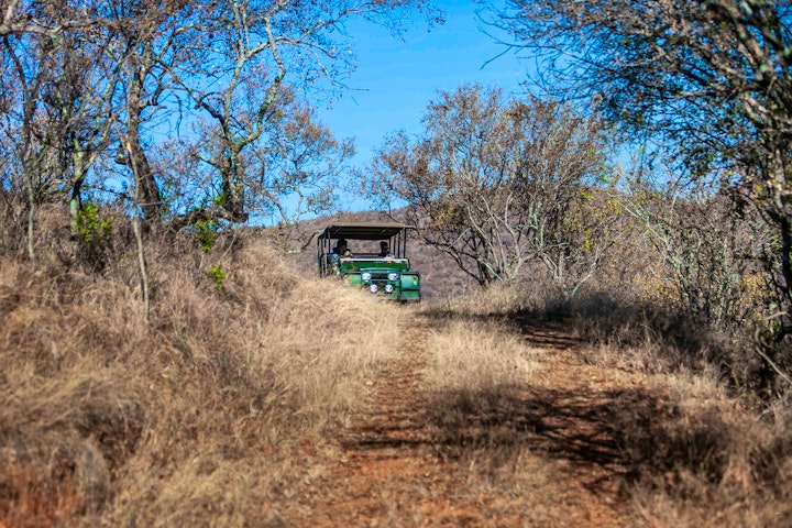 Loskop Valley Accommodation at Izinkwe Lodge | Viya