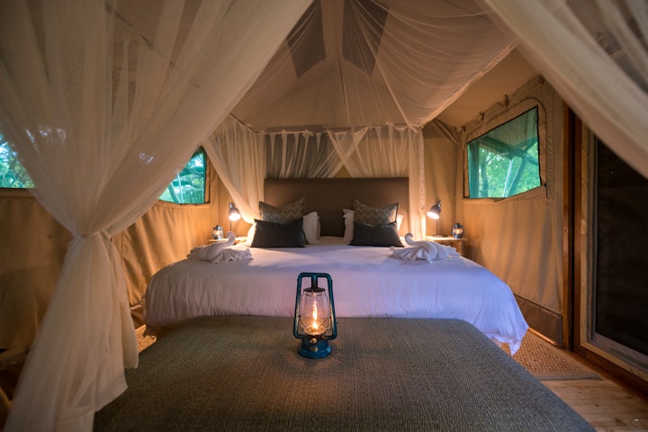 Kruger To Canyons Accommodation at Bundox Safari Lodge | Viya