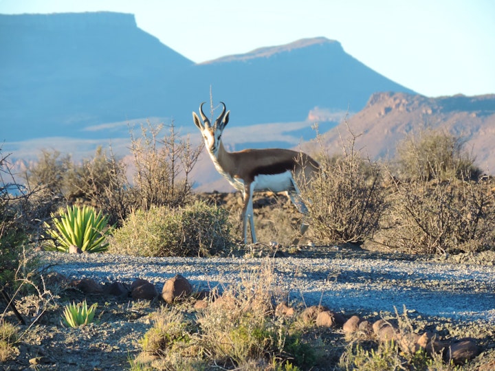 Karoo Accommodation at Teri-Lemveli Lodge | Viya