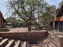 Mpumalanga Accommodation at SANParks Berg-en-Dal Rest Camp | Viya