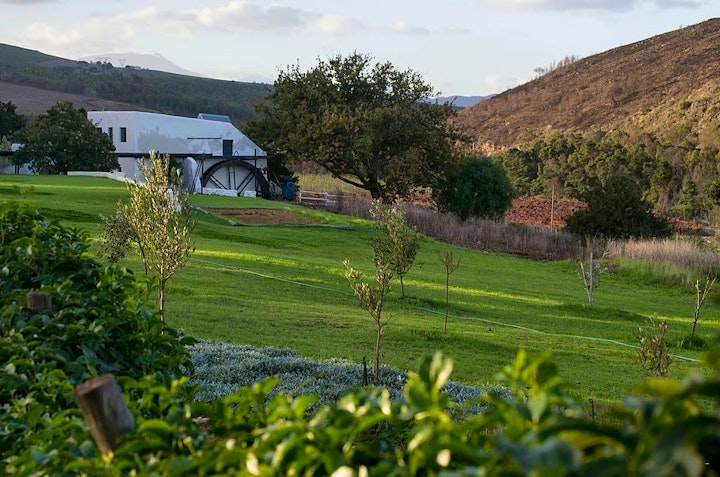 Western Cape Accommodation at Beaumont Family Wines | Viya