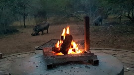 Kruger National Park South Accommodation at Bosplasie | Viya