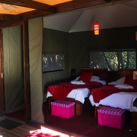 Garden Route Accommodation at  | Viya