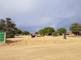 Northern Cape Accommodation at SANParks Nossob Rest Camp | Viya