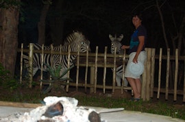 Kruger National Park South Accommodation at  | Viya