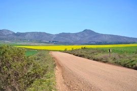 Overberg Accommodation at Otium Oasis | Viya