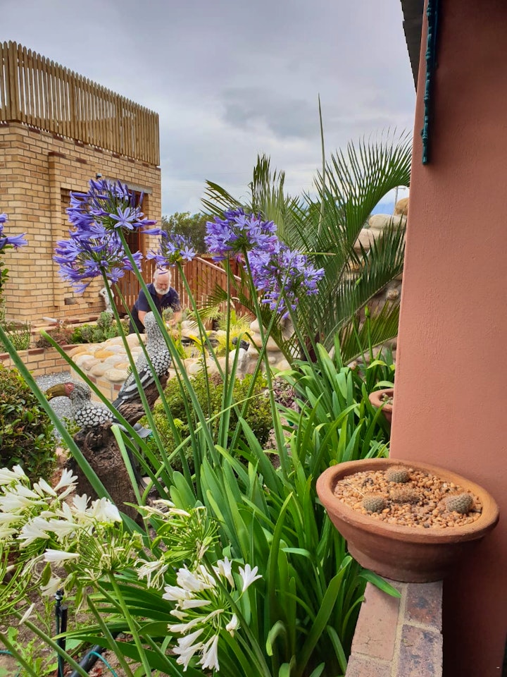 Overberg Accommodation at Wild Wind Holiday Accommodation | Viya