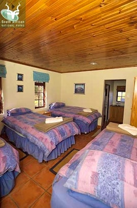 Western Cape Accommodation at  | Viya