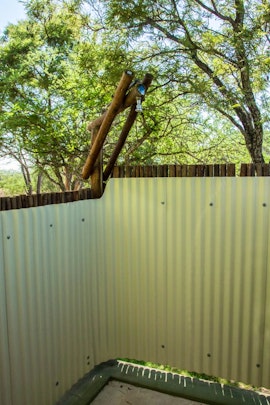 Dinokeng Game Reserve Accommodation at Chameleon Bush Lodge | Viya