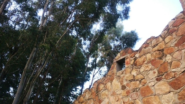 Mpumalanga Accommodation at Treelands Castle | Viya