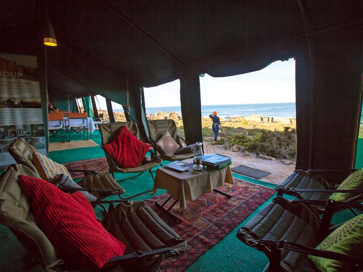 Northern Cape Accommodation at Namaqua Flower Beach Camp | Viya