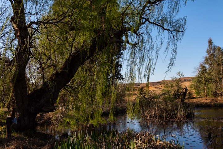 KwaZulu-Natal Accommodation at Penwarn Farm Lodge | Viya