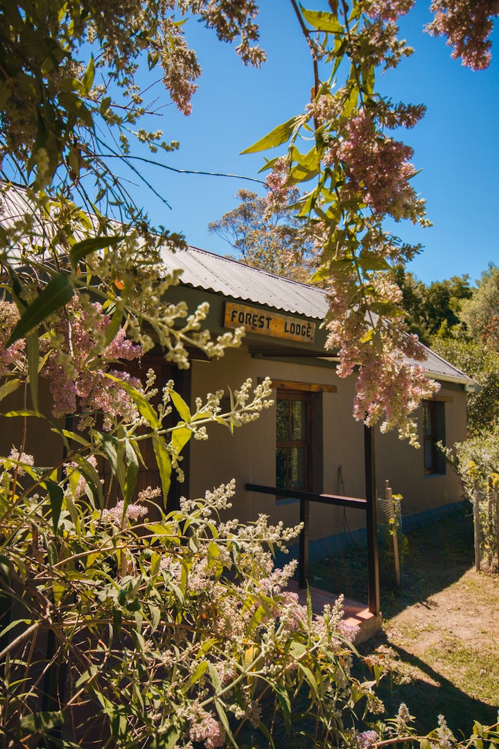 Western Cape Accommodation at Strawberry Hill Farm | Viya