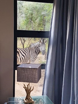 Kruger National Park South Accommodation at 951 Geelvis | Viya