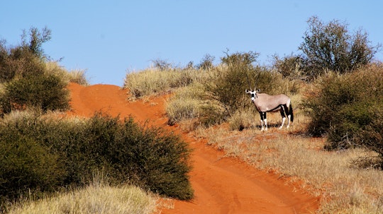 Namibia Accommodation at  | Viya