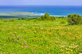 Langebaan Accommodation at SANParks Jo-Anne's Cottages | Viya