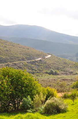 Overberg Accommodation at Laughing Waters Farm | Viya