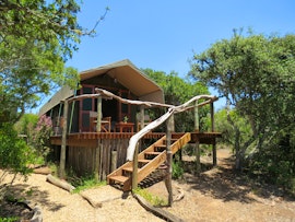 Eastern Cape Accommodation at  | Viya