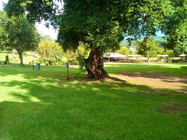 Panorama Route Accommodation at Sabie River Camp | Viya