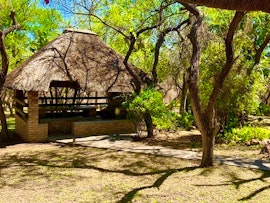 Kruger National Park South Accommodation at Galago's Nest Bush Chalets | Viya