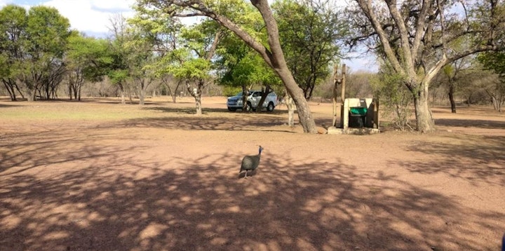 Limpopo Accommodation at SANParks Bontle Rest Camp | Viya