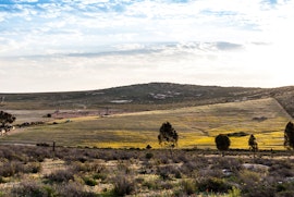 Northern Cape Accommodation at Nigramoep Slowliving Guest Farm | Viya