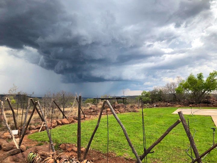 Waterberg Accommodation at Ezingweni Safari Lodge en Day Bush Spa | Viya