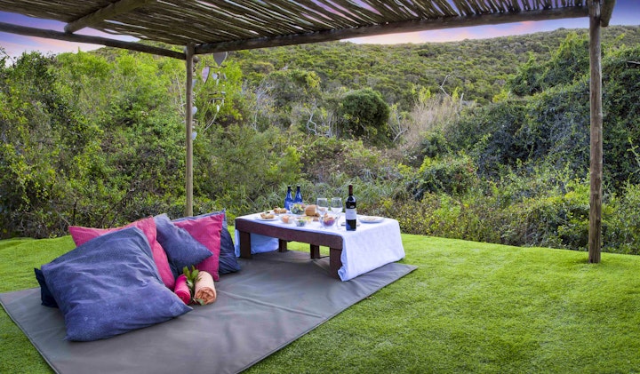 Eastern Cape Accommodation at Thunzi Bush Lodge & Country Lodge | Viya