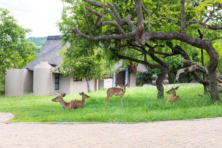 Mpumalanga Accommodation at Muluwa Lodge | Viya