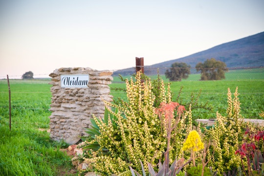 Swartland Accommodation at  | Viya