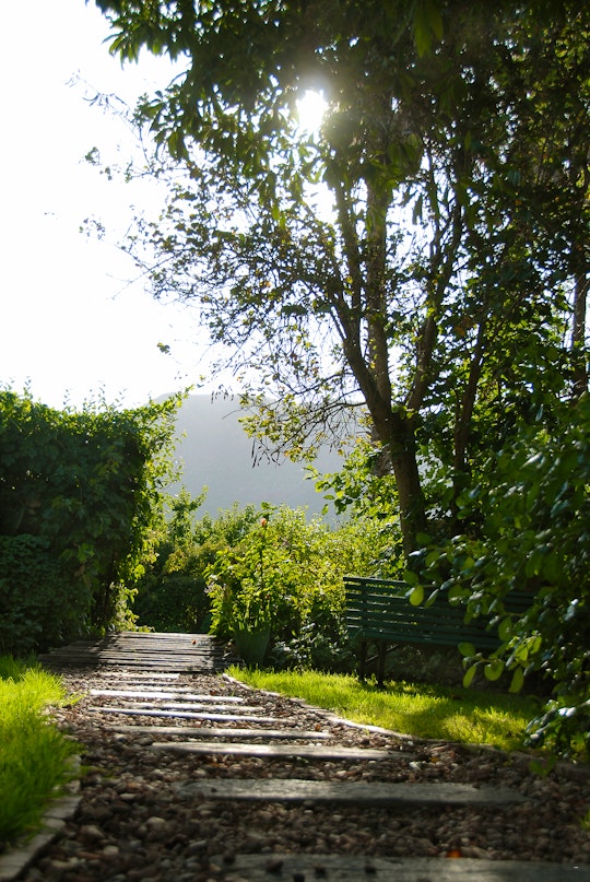 Cape Winelands Accommodation at  | Viya