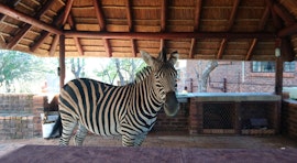 Kruger National Park South Accommodation at 1815 Seekoei | Viya