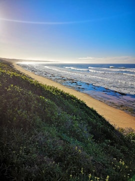 Garden Route Accommodation at The Seagull | Viya