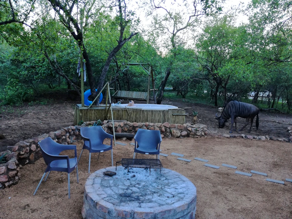 Kruger National Park South Accommodation at  | Viya