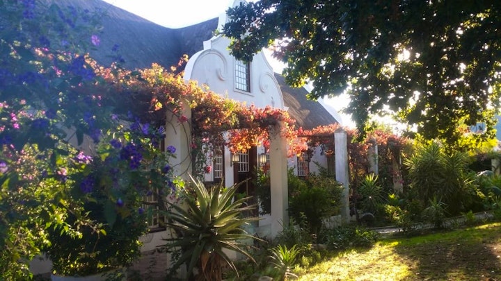 Western Cape Accommodation at Wittedrift Manor House | Viya