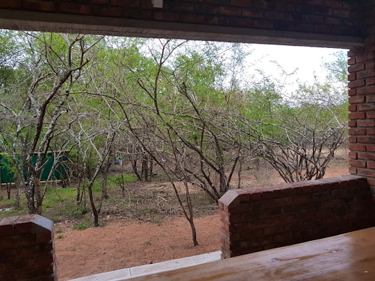 Kruger National Park South Accommodation at  | Viya