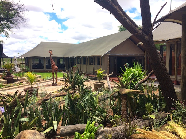 South-East District Accommodation at Tau Game Lodge | Viya