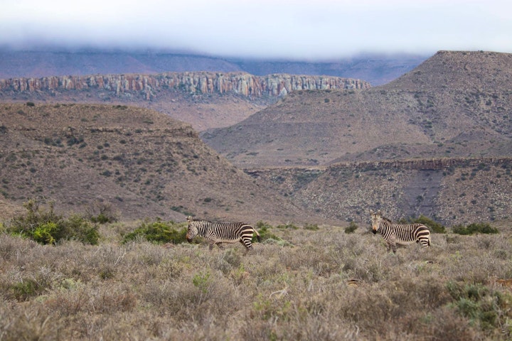 Western Cape Accommodation at SANParks Karoo National Park | Viya