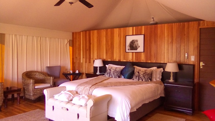 Cannonville Accommodation at Parkview Safari Lodge | Viya