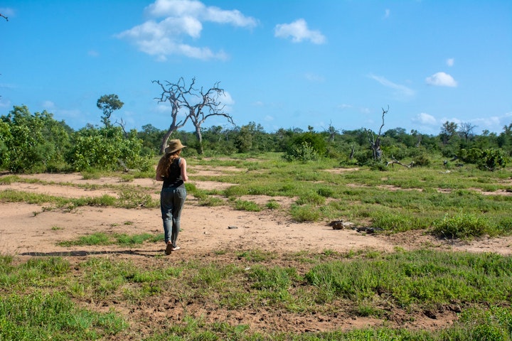 Limpopo Accommodation at Garonga Safari Camp | Viya