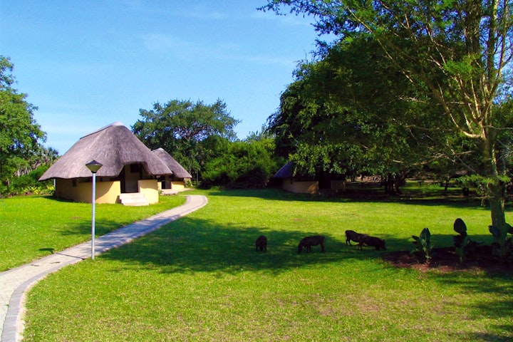 North Coast Accommodation at Bonamanzi Game Reserve - Lalapanzi | Viya