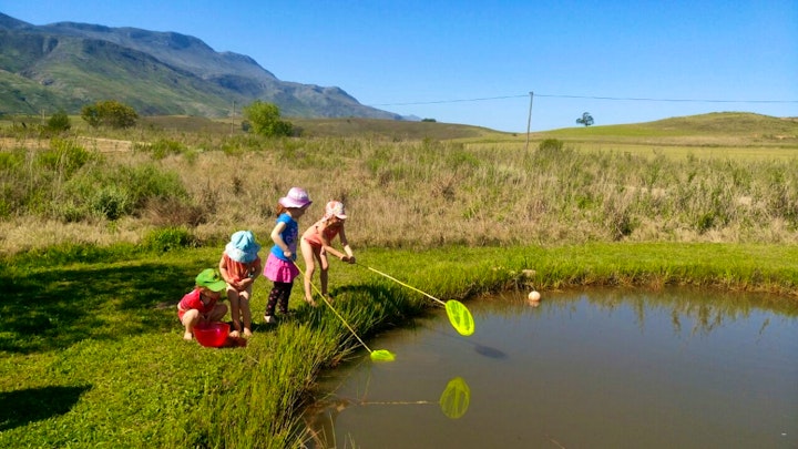 Western Cape Accommodation at A Log Home At Buffalo Creek | Viya