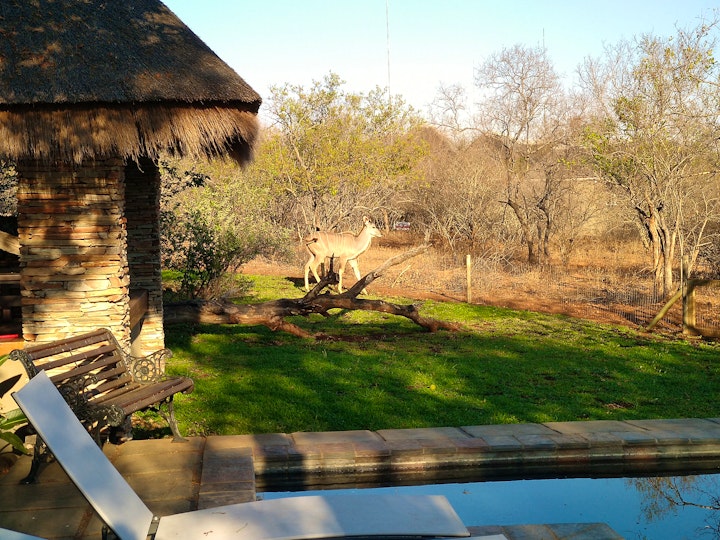 Mpumalanga Accommodation at Call of the Wild Lodge | Viya