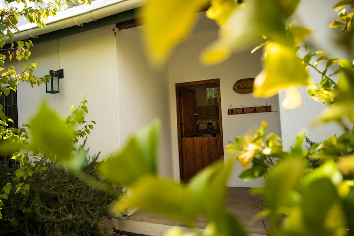 Western Cape Accommodation at The Olive Thrush Cottage | Viya