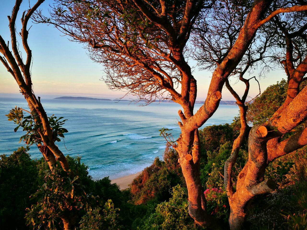 Plettenberg Bay Accommodation at  | Viya