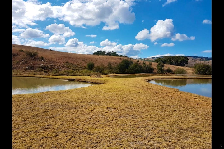 Mpumalanga Accommodation at The Kingfisher Country Cottages & Trout Lodge | Viya