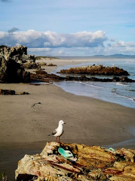 Hermanus Accommodation at Troon Beach Cottage | Viya