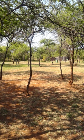 Dinokeng Game Reserve Accommodation at  | Viya